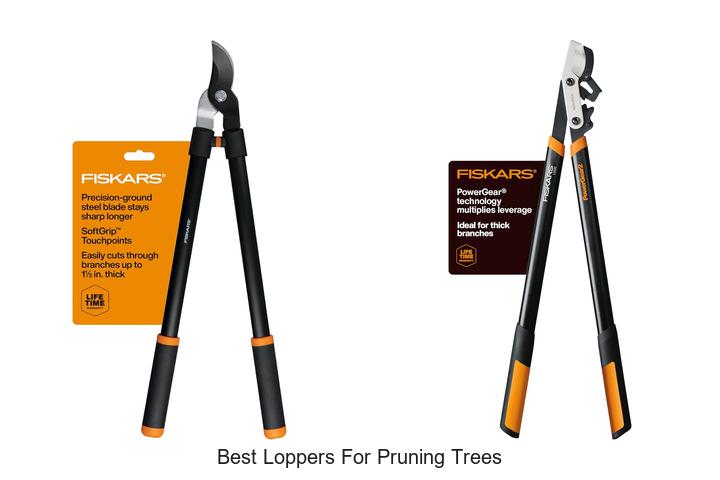 Best Loppers for Pruning Trees You Can’t Miss Today!