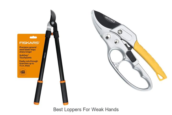 Best Loppers for Weak Hands That Make Pruning Easy!
