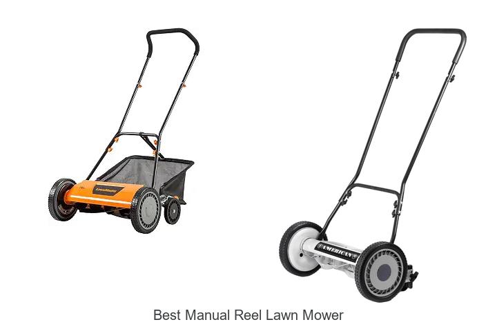 Top 10 Best Manual Reel Lawn Mower That Will Amaze You