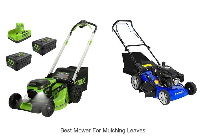 Top 10 Best Mower for Mulching Leaves That Will Blow You Away