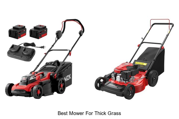 Top 10 Best Mower For Thick Grass That Will Blow Your Mind