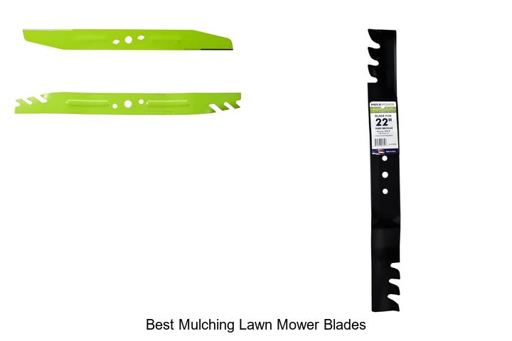 Top 10 Best Mulching Lawn Mower Blades You Must Try!