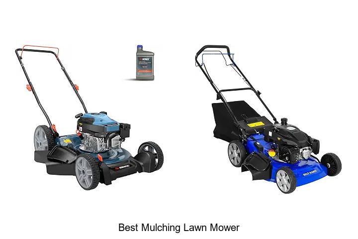 Top 15 Best Mulching Lawn Mower You Can’t Miss Today