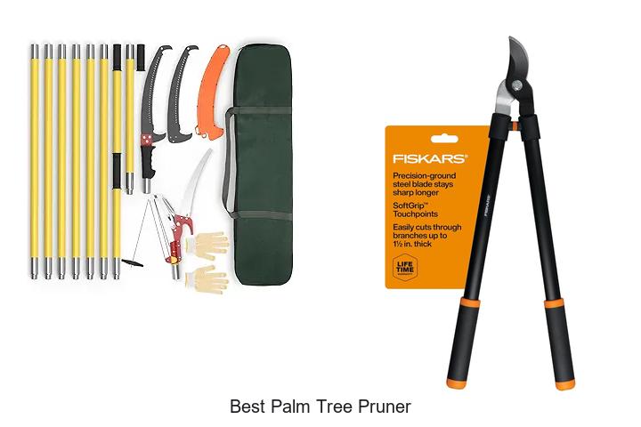 Top 10 Best Palm Tree Pruner That Will Blow Your Mind!
