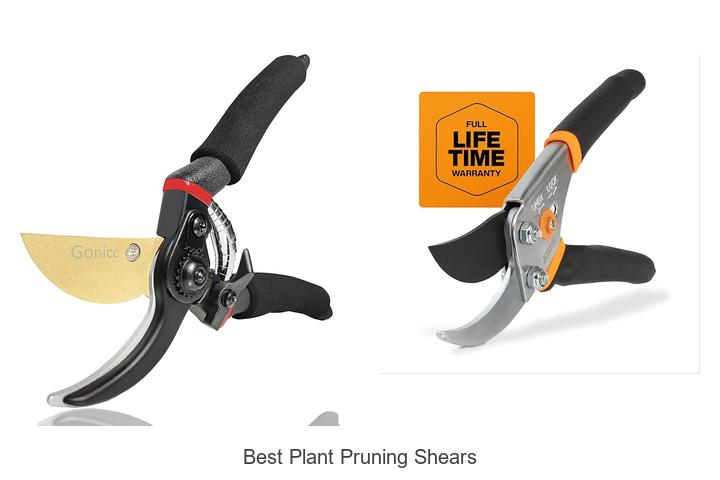 Top 10 Best Plant Pruning Shears That Will Change Gardening!