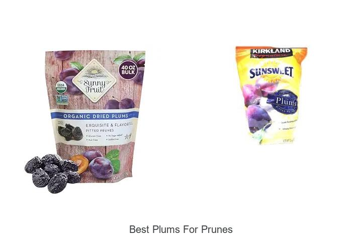Top 10 Best Plums for Prunes You Can’t Miss!