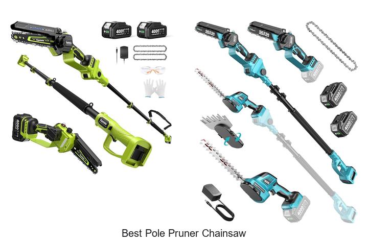 Top 10 Best Pole Pruner Chainsaw Secrets You Must Know