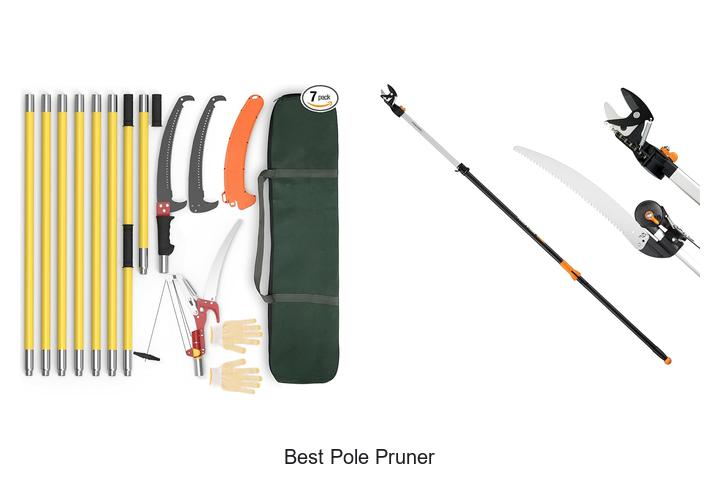 Top 10 Best Pole Pruner That Will Change Your Tree Care!