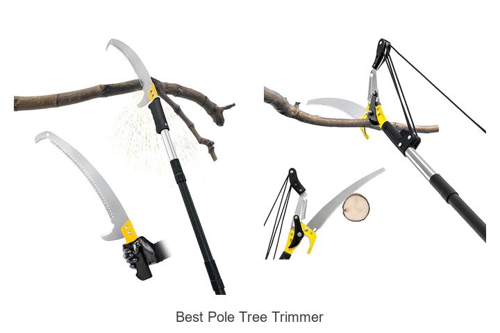 Discover The Best Pole Tree Trimmer For Effortless Pruning!