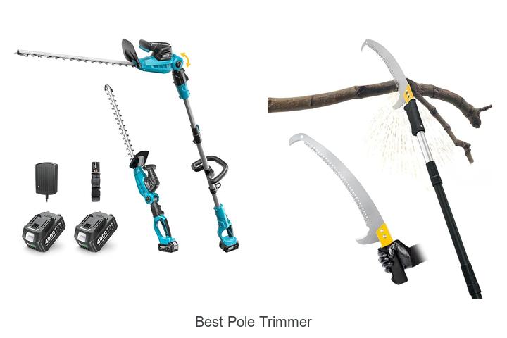 Discover The Best Pole Trimmer That Will Change Everything!