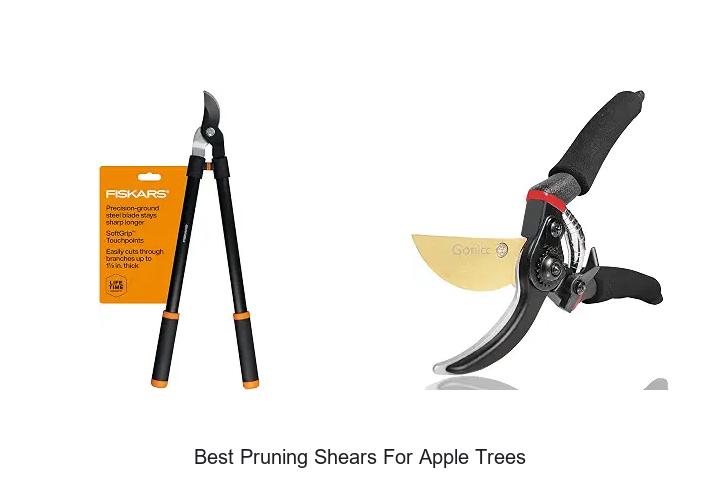 Top 10 Best Pruning Shears for Apple Trees You Must Try!