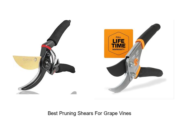 Top 10 Best Pruning Shears for Grape Vines You Need Now