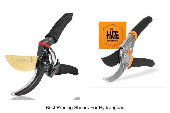 Top 10 Best Pruning Shears For Hydrangeas That WOW Gardeners!