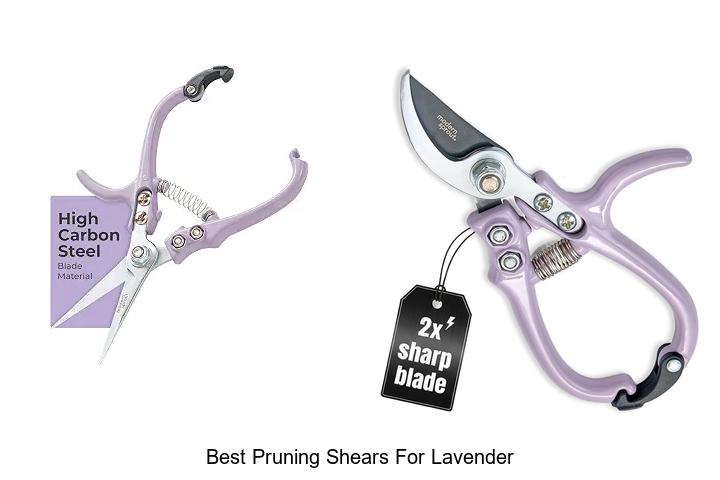 Top 10 Best Pruning Shears for Lavender You Need Now
