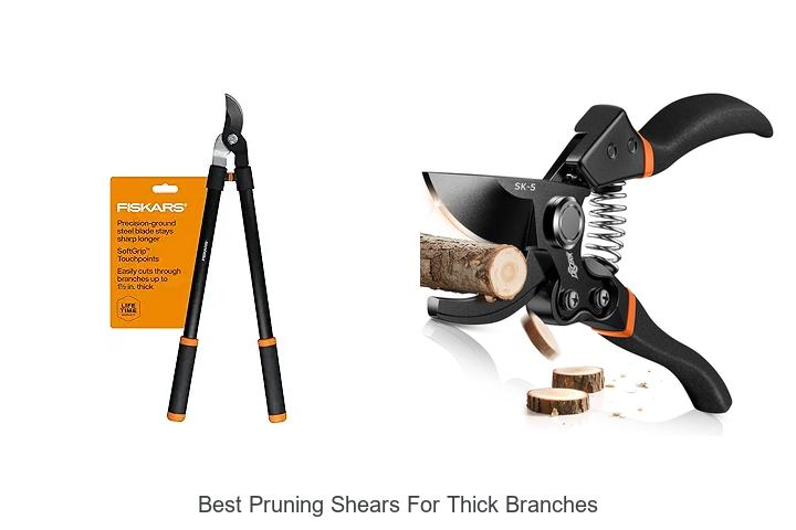 Top 10 Best Pruning Shears For Thick Branches Revealed!