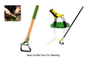 Discover The Best Scuffle Hoe For Weeding – Top Choice!
