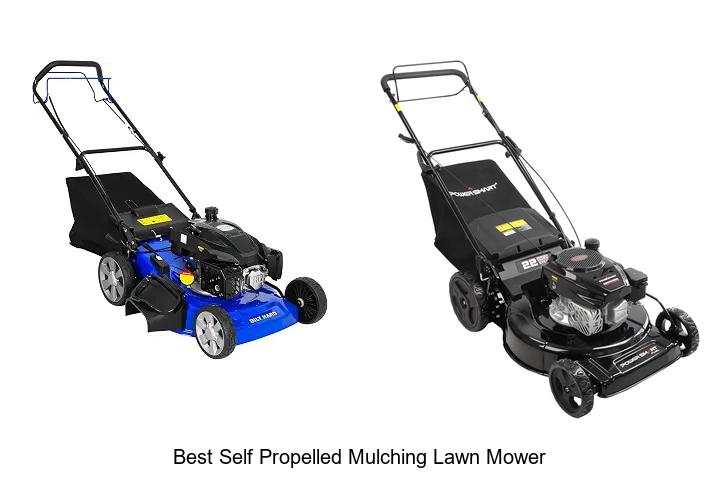 Top 10 Best Self Propelled Mulching Lawn Mower Reviews