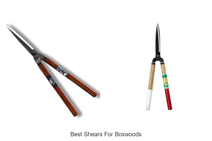 Top 10 Best Shears for Boxwoods That Will Transform Your Garden