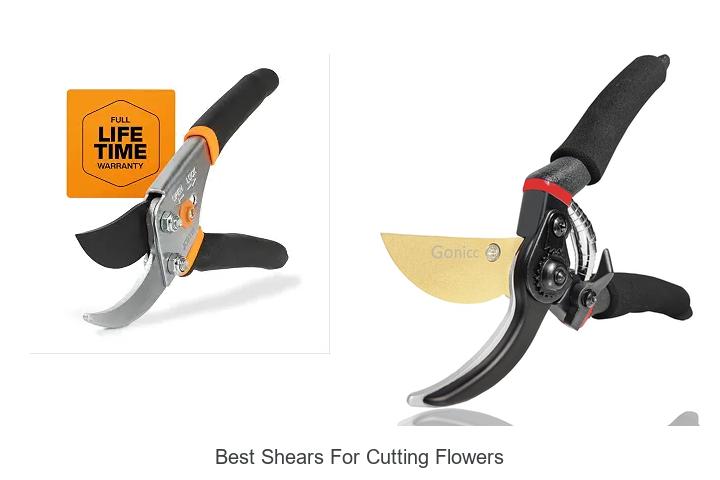 Top 10 Best Shears for Cutting Flowers You Must Try Today