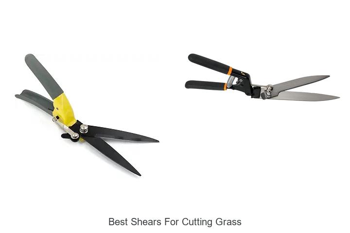 Top 10 Best Shears for Cutting Grass That Will Amaze You