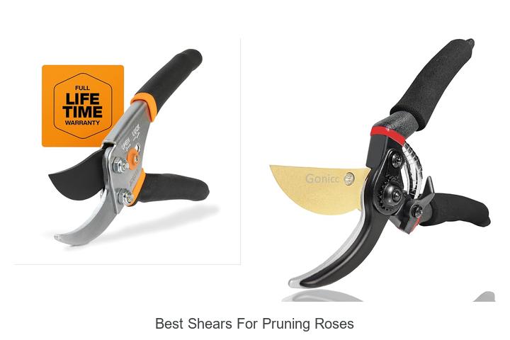 Top 10 Best Shears for Pruning Roses You Need Today!