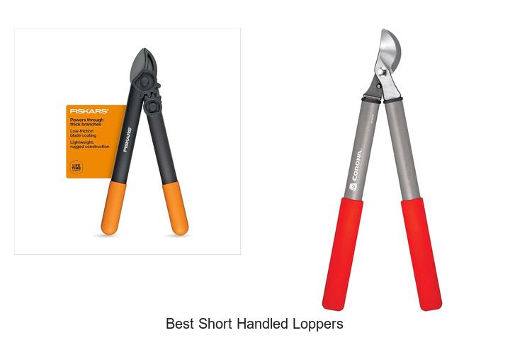 Discover The Best Short Handled Loppers For Easy Trimming!