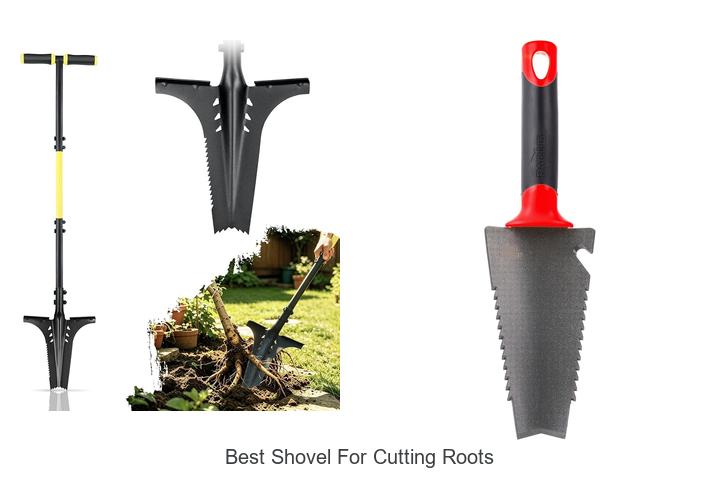 Best Shovel For Cutting Roots: Unlock Easy Root Removal!
