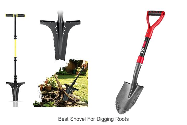 Discover The Best Shovel For Digging Roots Fast!