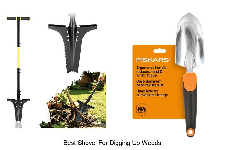 Best Shovel For Digging Up Weeds That Actually Works!