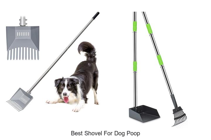 Discover The Best Shovel For Dog Poop Every Owner Needs!