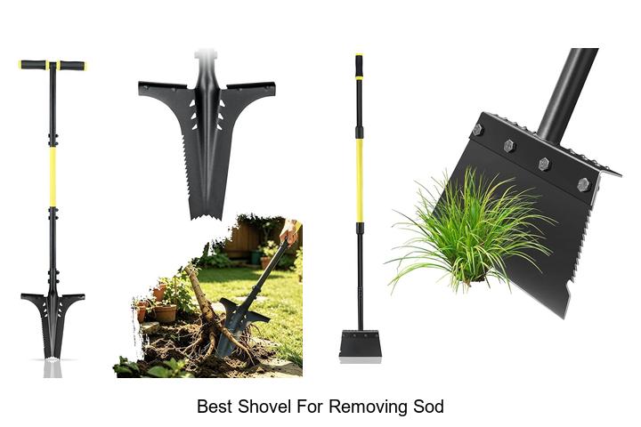 Best Shovel for Removing Sod That Will Change Your Yard Work!