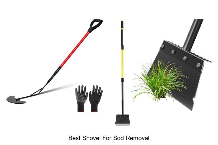 Best Shovel For Sod Removal That Makes Lawn Work Easy!
