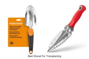 Discover The Best Shovel For Transplanting Now!