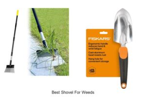 Discover The Best Shovel For Weeds That WORKS Wonders!