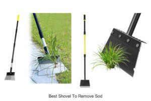 Best Shovel to Remove Sod: Top Picks You Can’t Miss!