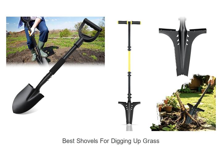 Best Shovels For Digging Up Grass You Can’t Miss!