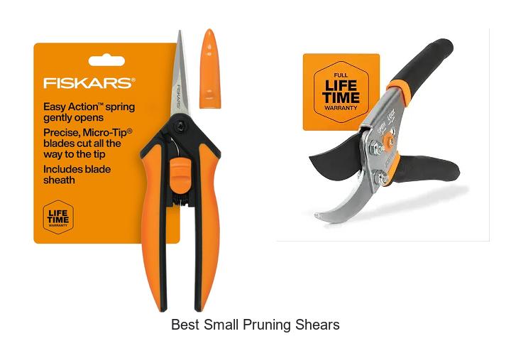 Top 10 Best Small Pruning Shears That Will Transform Gardening