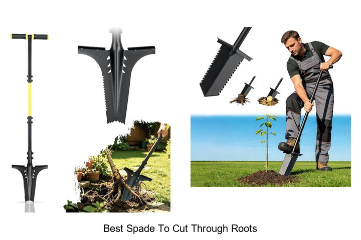 Best Spade To Cut Through Roots That Will Change Gardening!