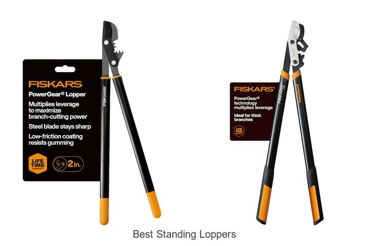 Best Standing Loppers That Will Transform Your Yard Today