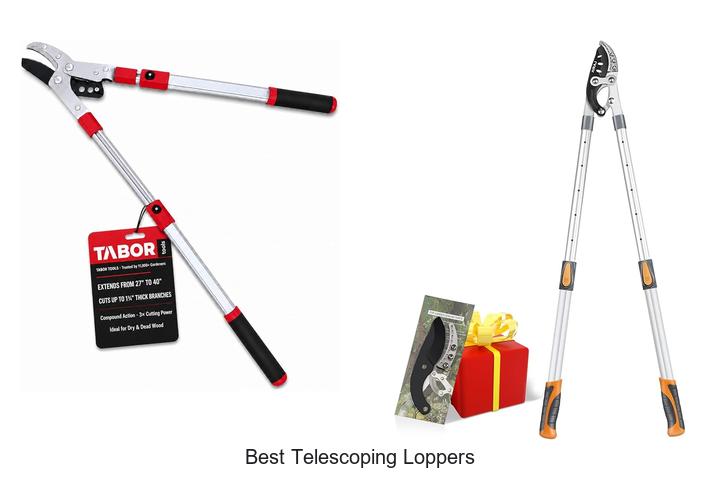 Discover The Best Telescoping Loppers For Effortless Cuts!