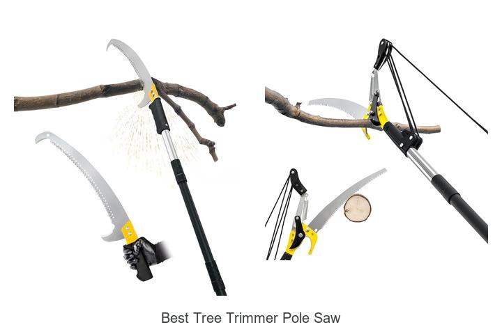 Best Tree Trimmer Pole Saw That Will Blow Your Mind!