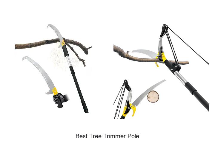 Best Tree Trimmer Pole That Will Transform Your Yard!