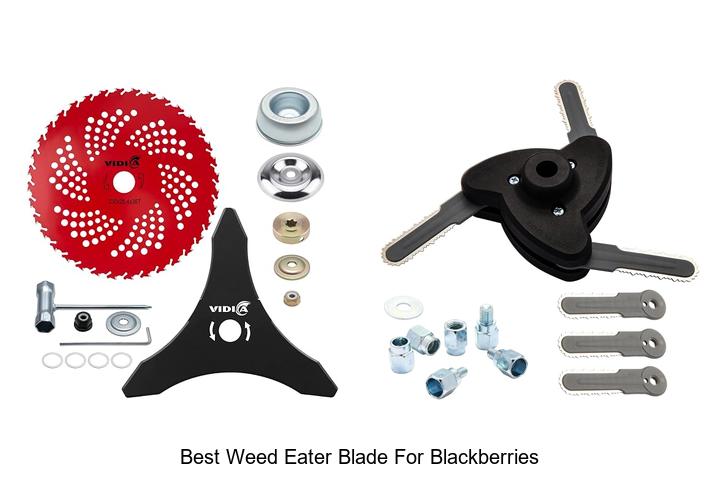 Best Weed Eater Blade For Blackberries You Can’t Miss!