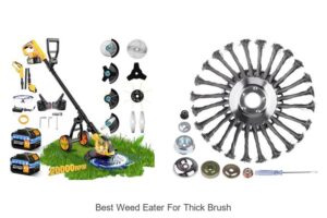 Best Weed Eater For Thick Brush That Will Blow You Away