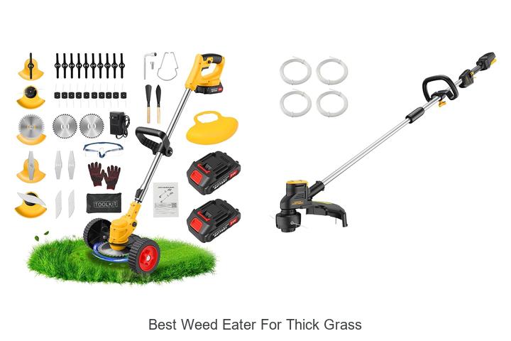 Best Weed Eater for Thick Grass: Unleash Power Now!