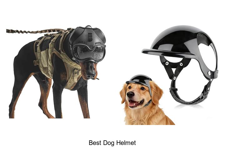 Top 10 Best Dog Helmet That Will Keep Your Pup Safe!