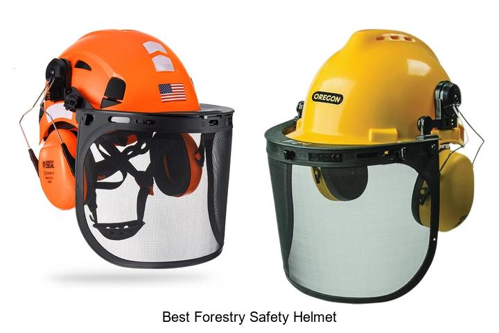 Top 10 Best Forestry Safety Helmet You Must Own Now