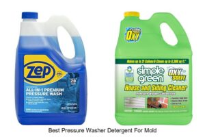 Top 10 Best Pressure Washer Detergent For Mold That Works